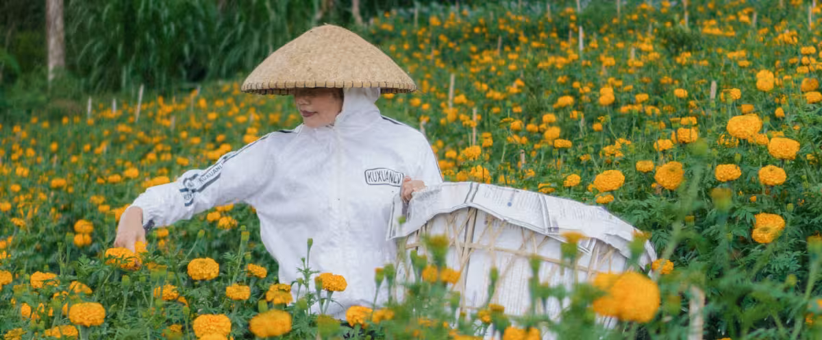 A farmer picking vibrant marigold flowers in the field at Rimbun Farm, capturing the beauty of the farm's floral crops